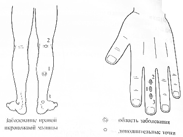 stacks-image-8c67da6.png