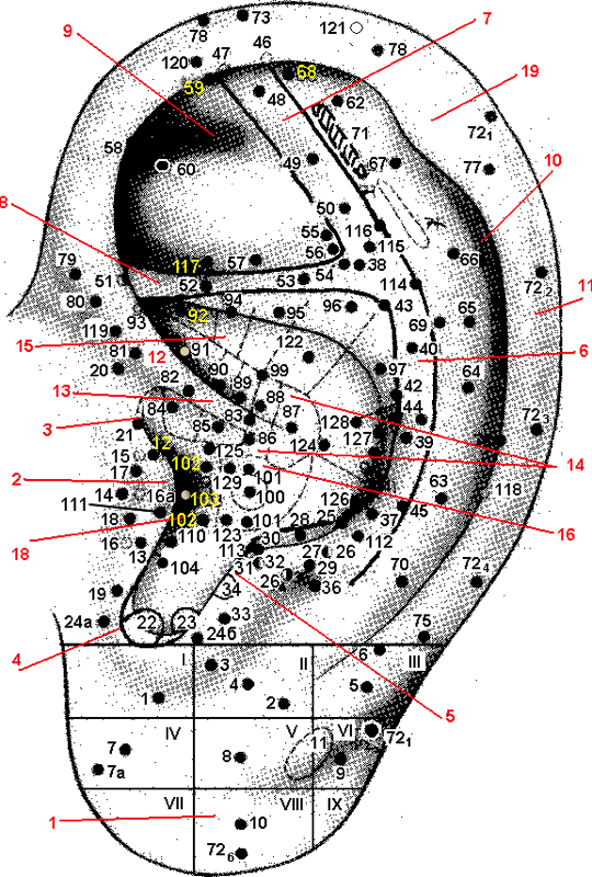 Описание аурикулярных точек