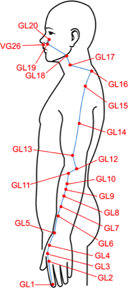 Меридиан толстой кишки начинается снаружи от ногтя указательного пальца, на расстоянии 2 мм. Затем он идет вверх по лучевой стороне пальца, по предплечью, проходя через лучевой сустав. Потом меридиан поднимается по наружной задней поверхности плеча, доходит до акромеона. Затем меридиан идет по трапециевидной мышце вниз, доходит до надключичной ямки, пересекает ее и доходит до угла рта. Меридиан заканчивается в верхней части носо-губовой складке.

У меридиана есть ответвление. Оно начинается в надключичной ямки, уходит в тело, проходит через диафрагму и заканчивается в толстом кишечнике.

На меридиане находится 20 точек.

Стандартные точки меридиана толстой кишки:

возбуждающая точка — цюй-чи GI 11, 
успокаивающая точка — эр-цзянь GI 2, 
точка «источник» — хэ-гу GI 4, 
стабилизирующая точка — пянь-ли GI 6, 
точка «тревоги» — тянь-шу E 25, 
сочувственная точка — да-чан-шу V 25. 
Меридиан толстой кишки