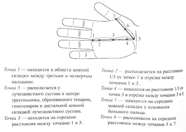 Энергетические базисные точки Инь-поверхности кисти