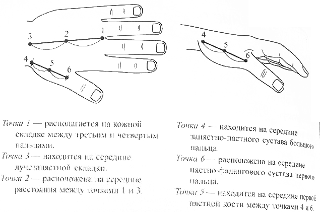 Энергетические базисные точки Ян-поверхности кисти