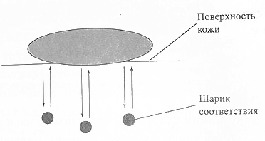 Взаимодействие семени с шариками соответствия