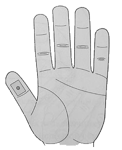 Постановка семени на зону соответствия носу по стандартной системе соответствия